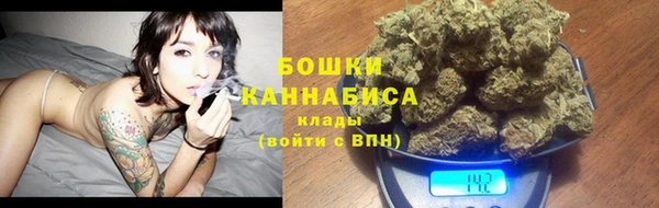 ГАЛЛЮЦИНОГЕННЫЕ ГРИБЫ Пестово
