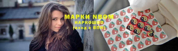 прущие крисы Аркадак