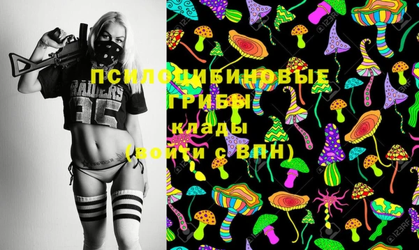 тгк Арсеньев