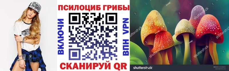 купить наркотик Сегежа Галлюциногенные грибы Psilocybe